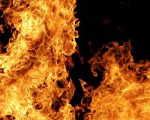 В Запорожской области горели два автомобиля