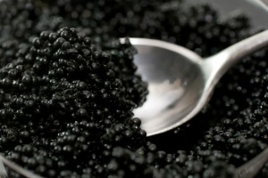 caviar_black_main